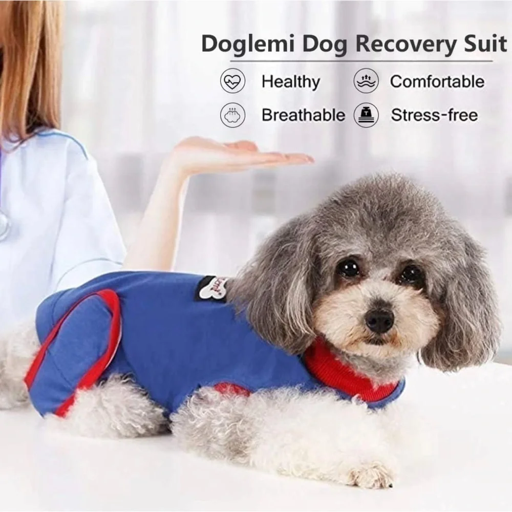 Doglemi dog surgery recovery small